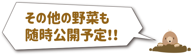 その他の野菜も随時公開予定！！