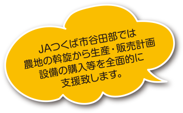 JAつくば市谷田部では農地の斡旋から生産・販売計画設備の購入等を全面的に支援致します。